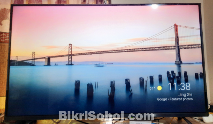 Singer Frameless E43-SLE43GA5000TV